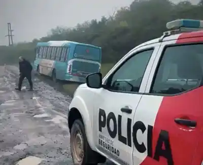 Viajaban a la capital, el colectivo esquivó un bache y terminaron bajo la lluvia en el barro