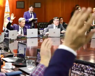 San Luis elige este martes a sus representantes en el Consejo de la Magistratura: quiénes compiten