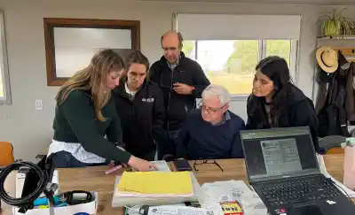 Pusieron paneles solares y las facturas de luz se derrumbaron: el caso de tres empresas pampeanas