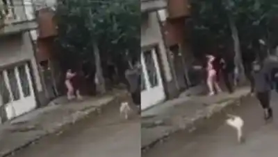 Una adolescente atacó a un compañero a la salida de la escuela: lo que encontraron en el video dejó a todos en shock