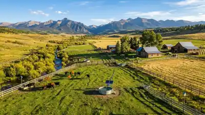 Compraron un campo arruinado y años después hasta los alces volvieron a pasar por sus tierras