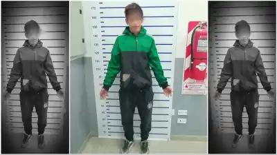 Saltó un portón, se llevó una jaula y lo que hizo su hermano lo dejó sin escape
