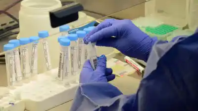 En Neuquén hay 23 análisis clínicos por minuto: quiénes están saturando los hospitales