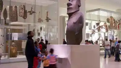 Rosario: la investigadora que quiere que los museos devuelvan lo que callaron durante siglos