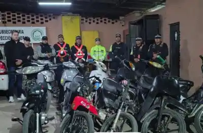 La Caminera paró un camión en Charata y encontró 11.600 kilos de fruta sin papeles