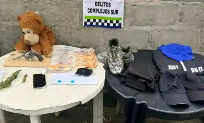 Hallaron un arma escondida en un lugar insólito durante un allanamiento por robo