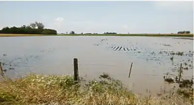 El río avanza en Colonia Benítez: 68 familias ya dejaron sus casas y un sector no resiste