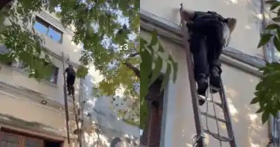 Un perrito quedó atrapado a cinco metros de altura y lo que hicieron los bomberos dejó a todos sin palabras
