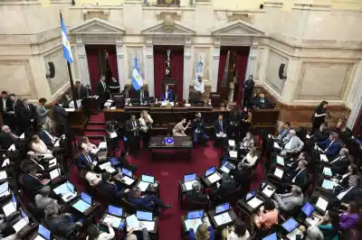 La banca de Pagotto en el Senado tiene nombre: la carta que espera La Libertad Avanza
