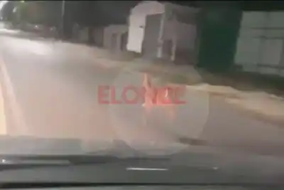 Un ciervo apareció a las 3 de la mañana en Paraná y el video del vecino que lo cruzó