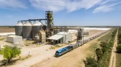 Jaldo a la licitación del Belgrano Cargas: los ramales 14 y 15 no se tocan si no hay una condición obligatoria