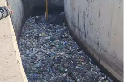 Tirar una bolsa en la calle ahora puede costarte más que un auto usado