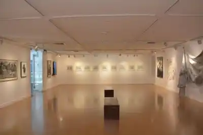 La Bienal de Dibujo sumó un récord de artistas y ya eligió a los 143 que estarán en San Juan