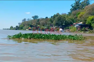 El Paraná sube en cuatro puertos entrerrianos y hay un dato que mira Defensa Civil