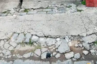 La Municipalidad fue casa por casa y notificó a 190 vecinos: qué encontró en las veredas de Paraná
