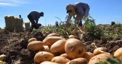 Mendoza: los rurales ya cobran la escala nueva, pero hay un monto que llama la atención