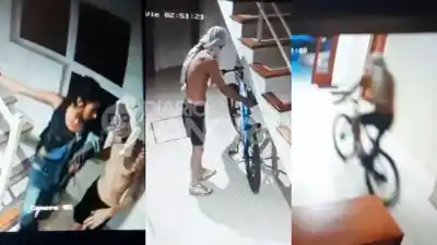 Escuchó gritos en la madrugada y lo que descubrió después lo dejó sin palabras