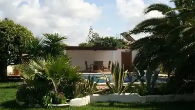 Vivir gratis en una finca de Cádiz: la condición que piden para cuidar 35 gatos y dos chicos