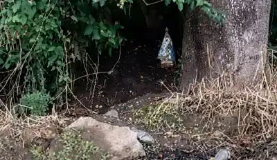 Apareció una Virgen del Valle entre los árboles de Aguilares y nadie sabe de quién es