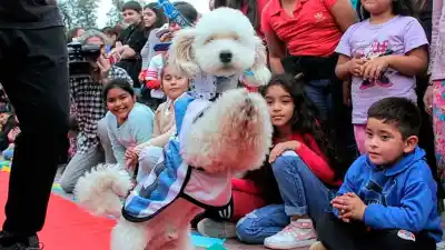 Un evento especial en La Banda promete sorpresas para las mascotas y sus dueños