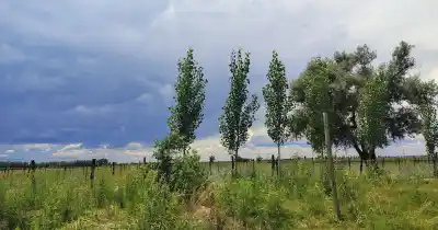 Las lluvias de El Niño ya golpean a San Carlos: el trabajo que se corta y el pedido que no se puede ignorar