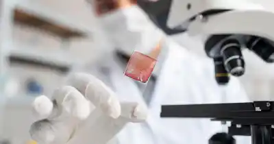 Investigan por qué el cáncer de mama ataca distinto según la mama y una proteína clave