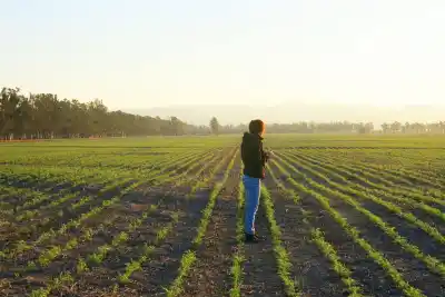 Tienen la tierra a su nombre, pero el banco les cierra la puerta: el dato que expone el campo argentino