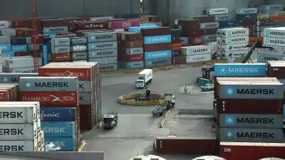 El número que dejó atrás a casi todo 2026: las exportaciones dieron el salto y el saldo se disparó