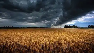 El campo entrerriano ya puede ver lo que se viene: la herramienta que anticipa los golpes de El Niño