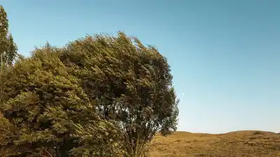 Alerta en los Valles: el viento zonda llega con ráfagas que superan los 70 km/h