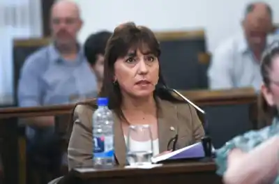Agmer lo trató de «persona no grata» y la senadora Domínguez salió a responder con todo