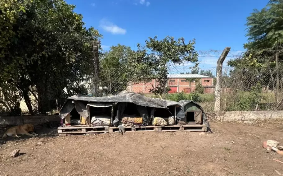 Casitas de perros antes del vandalismo