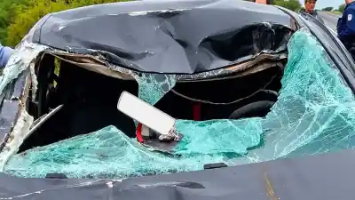 Volvían a Tucumán de madrugada y una vaca de 400 kilos les cruzó la ruta: dos graves