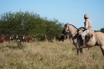 Puso US$22,8 millones en un campo salteño y ya piensa en abrir el capital: quién está detrás