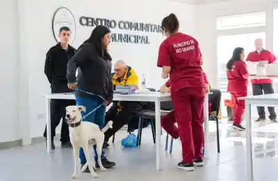 Río Grande quiere que castrar a tu perro sea obligatorio: la multa que te puede caer