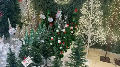 Se viene la Navidad en Comodoro: cuánto cuesta armar el arbolito este año