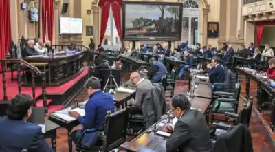 Una patota en la cancha de chicos: Diputados define si hay castigo