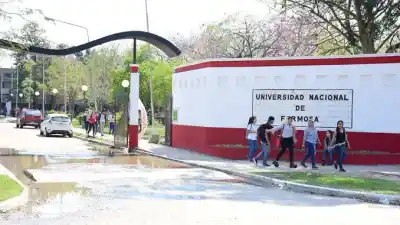 La bacteria que encontró una médica en las viandas del comedor de la UNaF y por qué los chicos terminaron internados