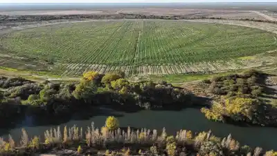 Comprar un campo en la Patagonia: el fallo que dejó a los extranjeros en un limbo