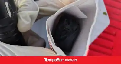 Los perros marcaron dos baños de colectivos y ahí apareció la carga que nadie declaró