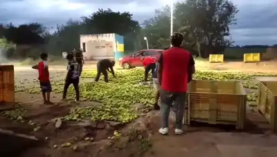 Un camión perdió el control y lo que sucedió después dejó a todos boquiabiertos