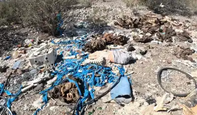 En Jáchal tiran hasta restos de animales faenados junto al dique y los vecinos estallaron
