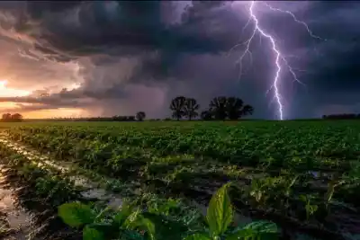 El Niño trae más agua al campo entrerriano, pero hay un costo que preocupa