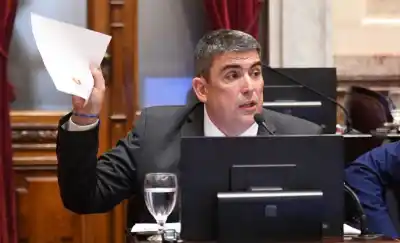 Bensusán le contestó a Milei con un mensaje que sacude a La Pampa