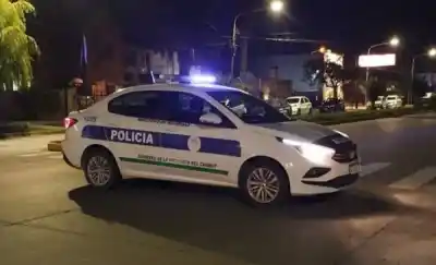Se subió al techo y le pidió el horno a la dueña: terminó detenido