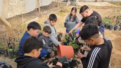 Estudiantes de Añelo se llevaron una planta de frutilla a casa: el motivo