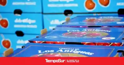 La cereza de Los Antiguos no puede crecer por una sola cosa: el freno que ya no aguantan