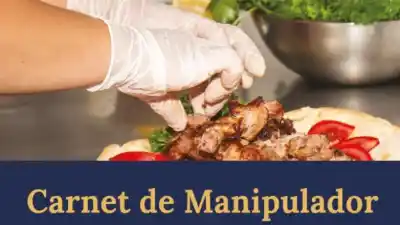 El carnet de manipulador de alimentos ahora se saca desde el celular y sin pagar un peso