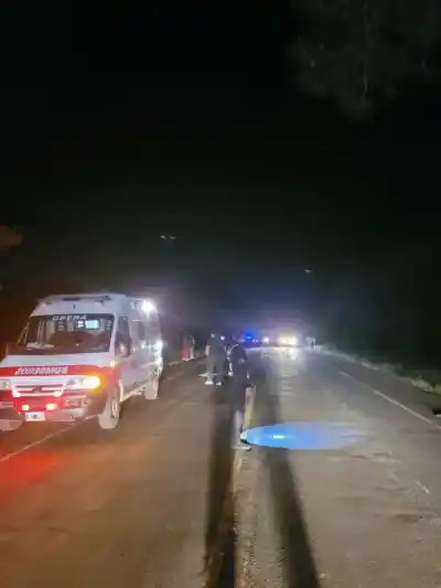 Tres choques, dos muertos y el mismo patrón: qué encontraron en la sangre de los conductores