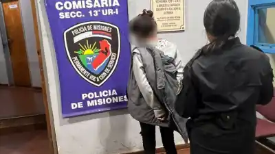 Le arrebató la riñonera y forcejeó con ella, pero un vecino la frenó en seco